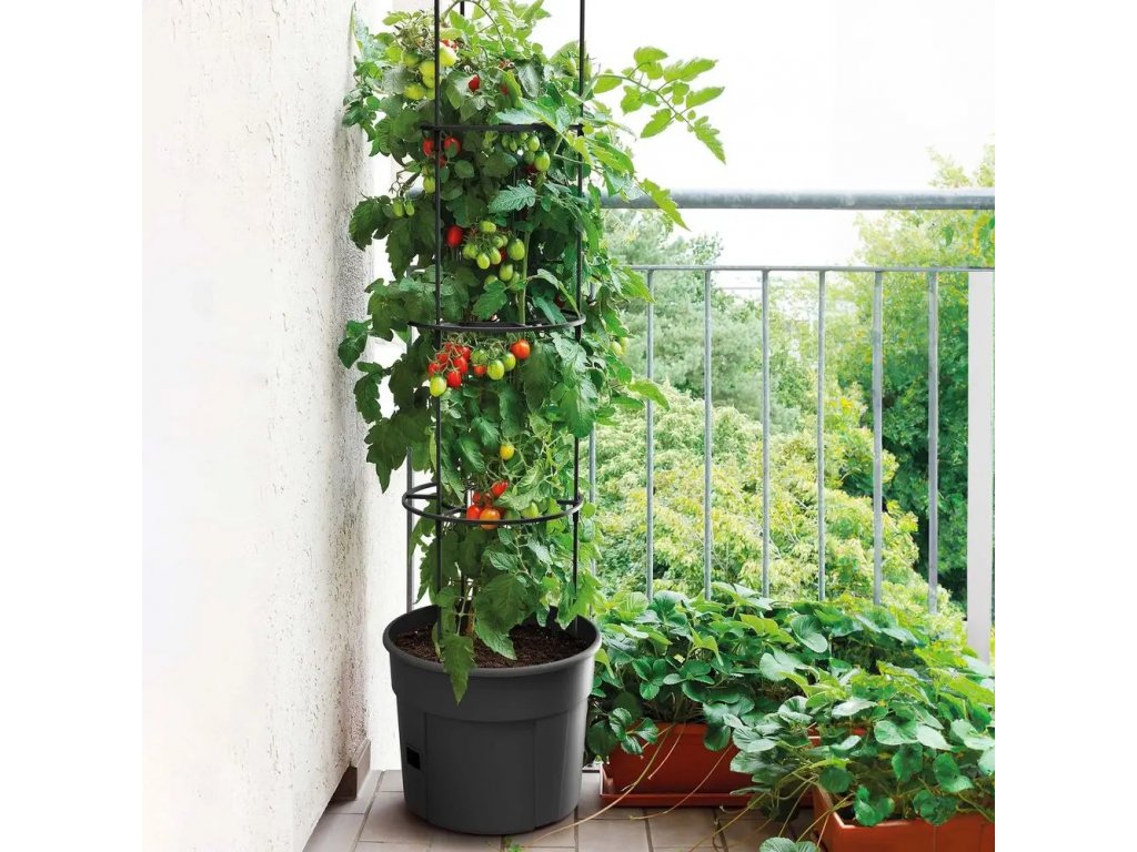 kvetináč na pohodlné pestovanie paradajok s podpornou konštrukciou